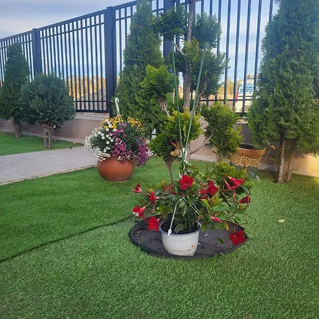 Casa Nueva *