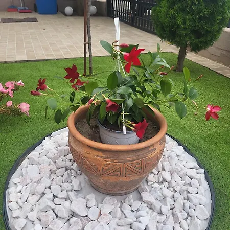 Casa Nueva Ефоріє-Норд