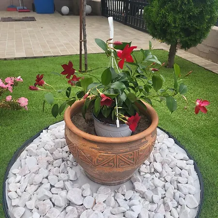 Casa Nueva Eforie Nord